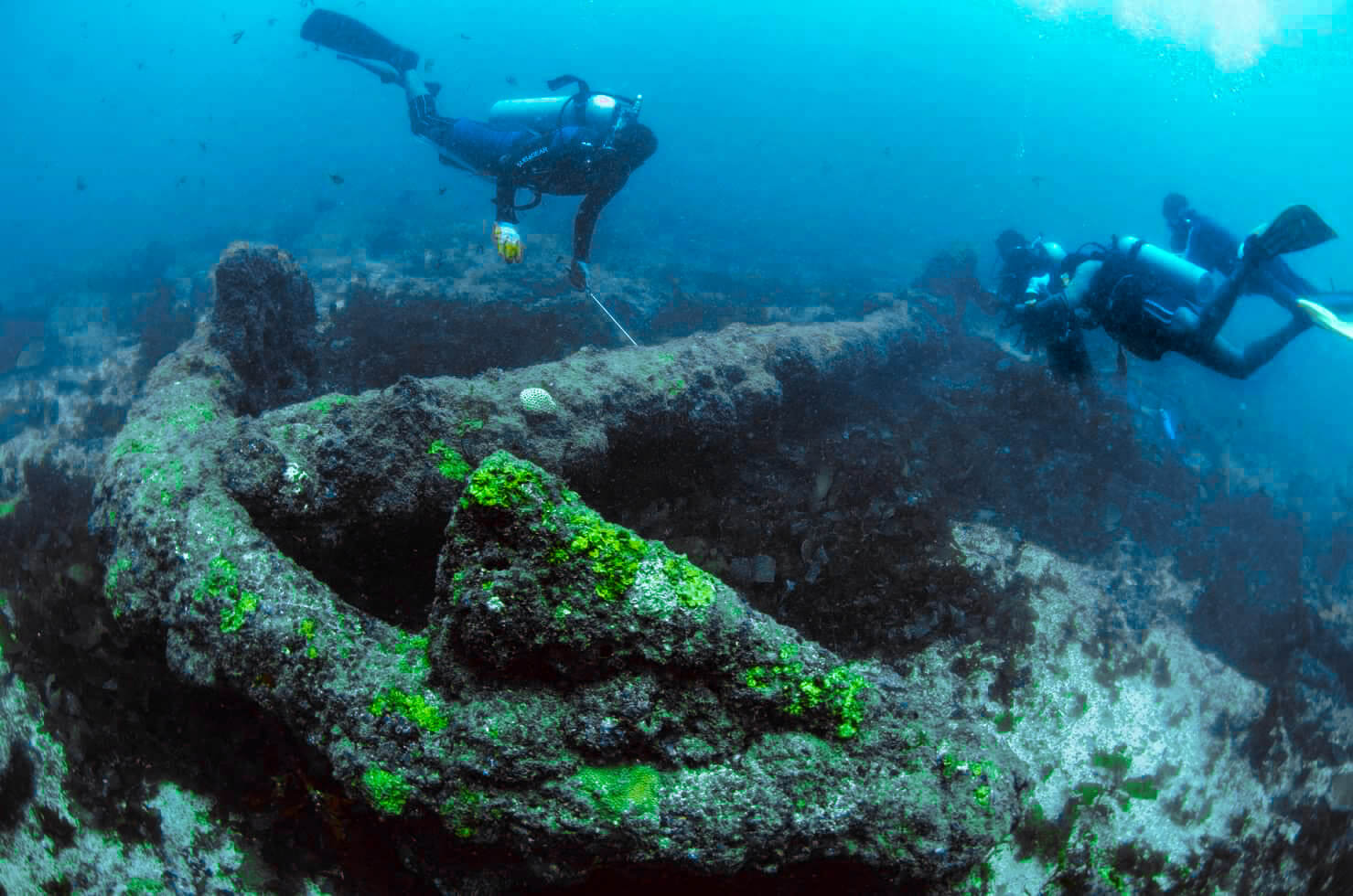 You are currently viewing Anchor Point Reef